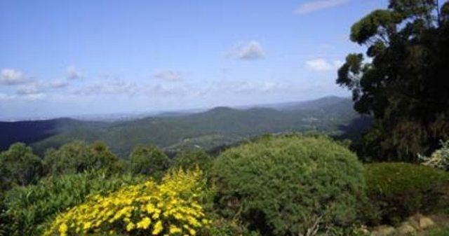 Hillside Country Retreat Bed & Breakfast โกลด์โคสต์ ภายนอก รูปภาพ